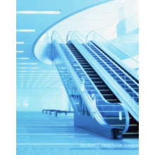 Fujizy Safe Steady and Smooth Running of Escalator Fjf-G6000